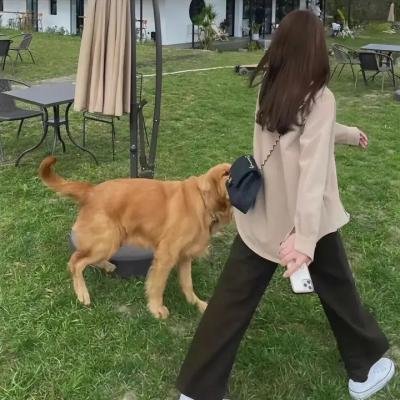 最佳夫婿
